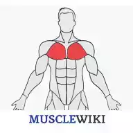 musclewiki