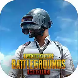 pubg国际服官方正版