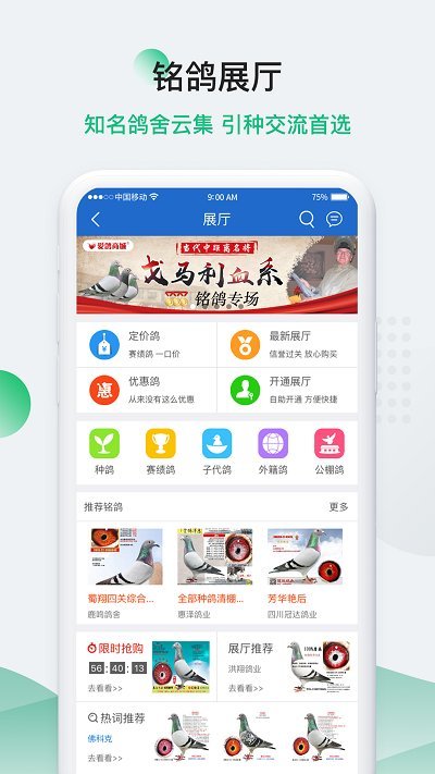 中国信鸽信息网app下载