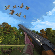 Wild Duck Hunting